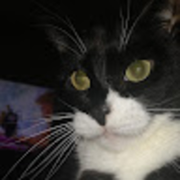 tuxedocat78